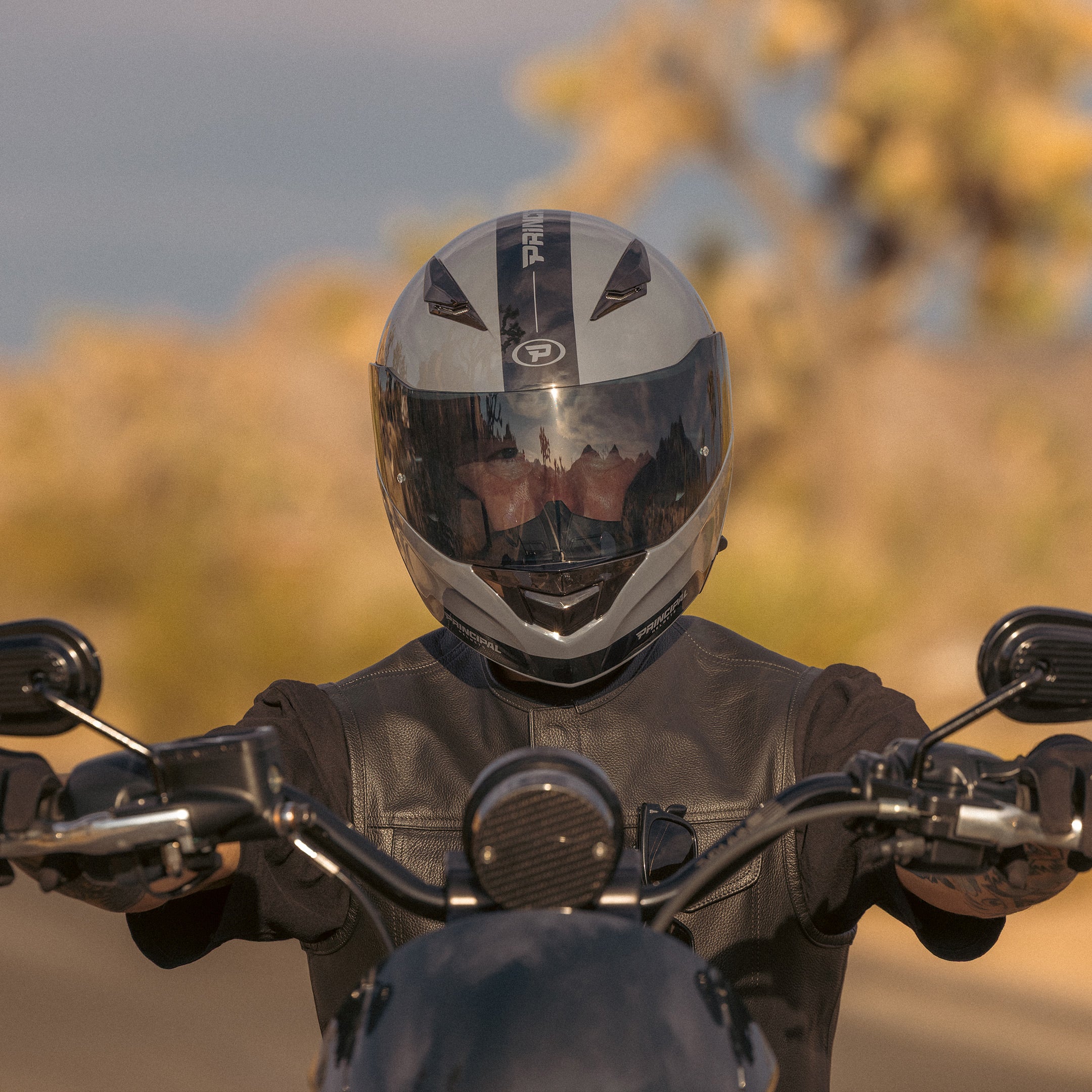Principal 950 Helmet - Cool Gray - Image 13