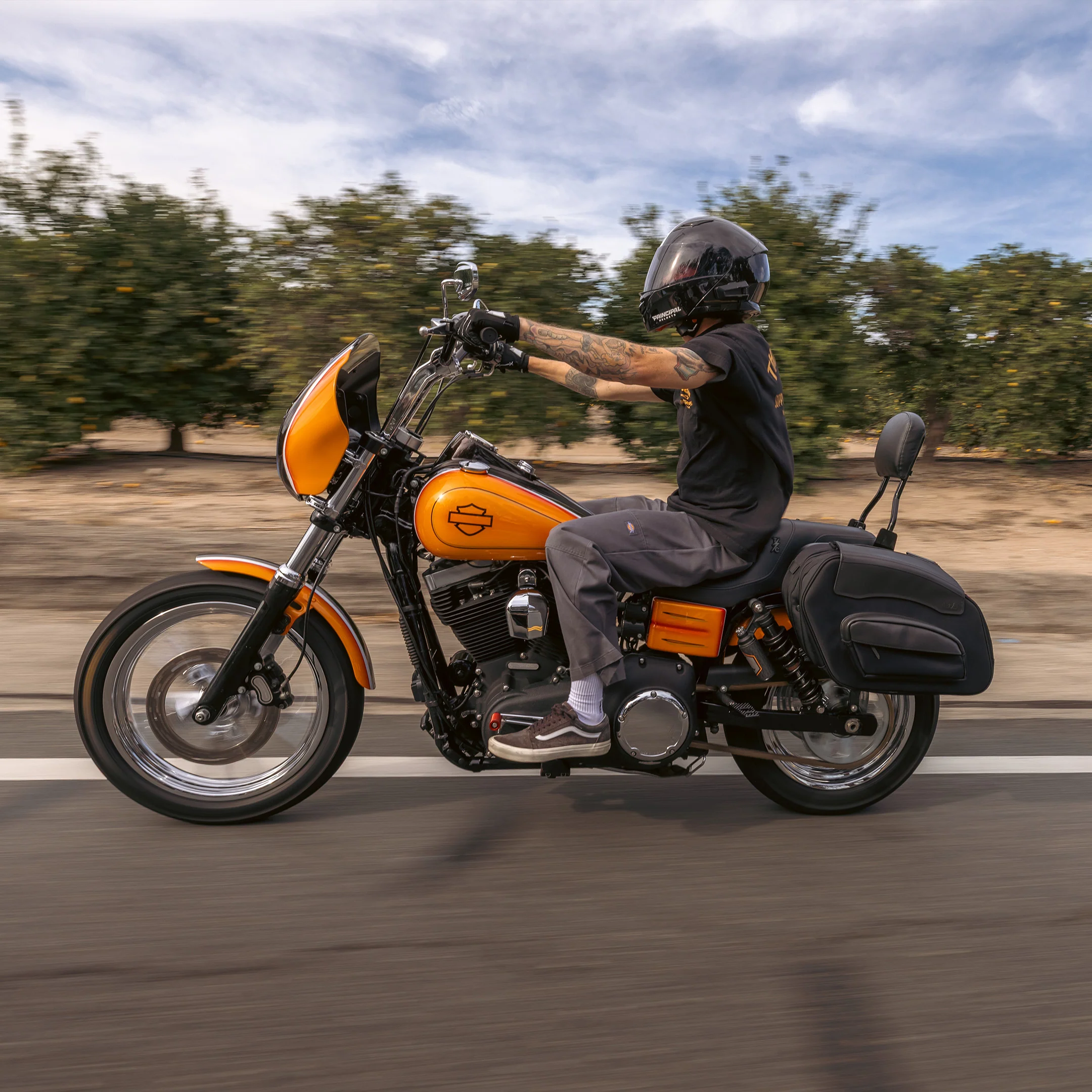 Sport Saddlebags - Quick Detach | 60 Liter - Image 19